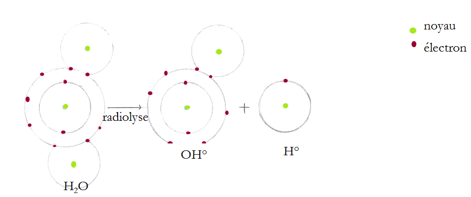 Radiolyse de l'eau